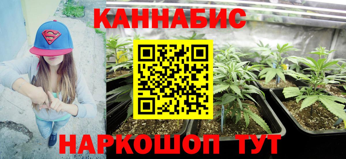 Бошки Шишки Bruce Banner  Бошки марихуана THC 21%  Конопля Amnesia  Вход с VPN  Чайковский 